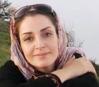 آغاز «داستان کلان» در ادبیات داستانی ایران با داستان‌های ابراهیم گلستان