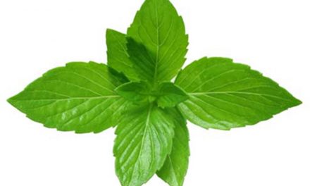 زن نعناپونه‌ای