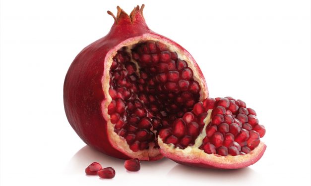 چند طرح یلدایی