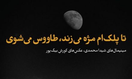 هشت شعر کوتاه از شیدا محمدی