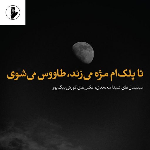 هشت شعر کوتاه از شیدا محمدی