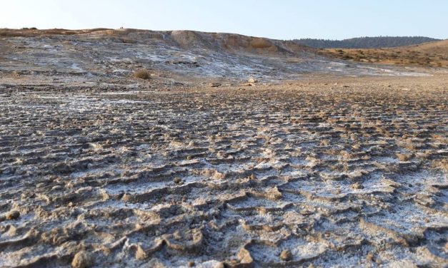 رشد جمعیت جهان