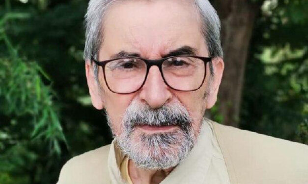 برگی از نیلوفر آبی