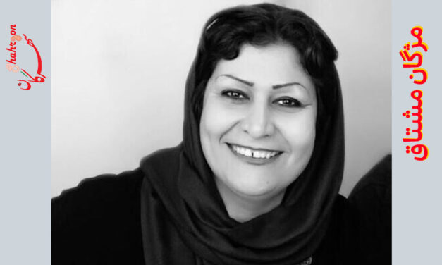 سایه‌ی خرگوش