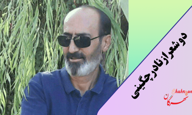 دو شعر از نادر چگینی