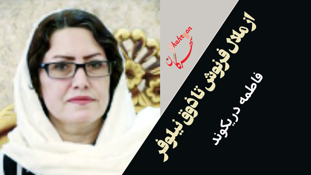 از ملال فرنوش تا ذوق نیلوفر