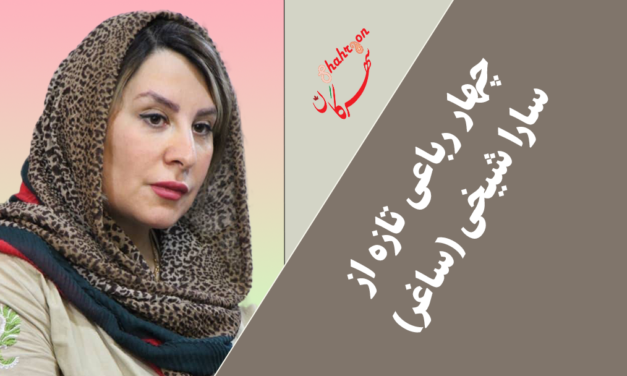چهار رباعی تازه از سارا شیخی (ساغر)