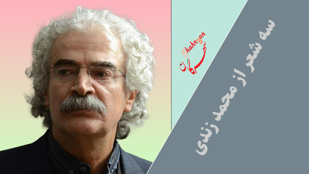 سه شعر از محمد زندی