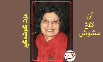 آن کلاغ مشوش
