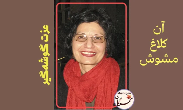 آن کلاغ مشوش