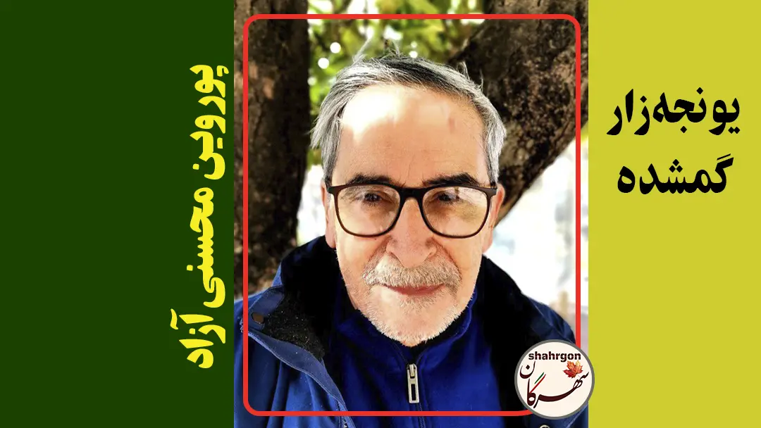 یونجه‌زار گمشده