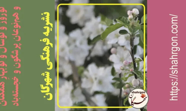 نوروز و نوسال و نوبهارِ همگنان و هم‌نوعان پرشگون و خجسته‌باد
