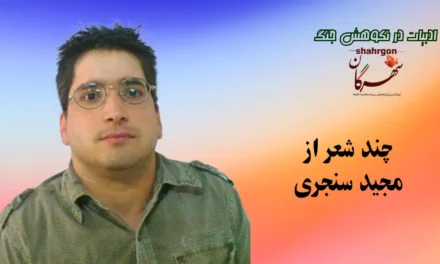 چند شعر از مجید سنجری