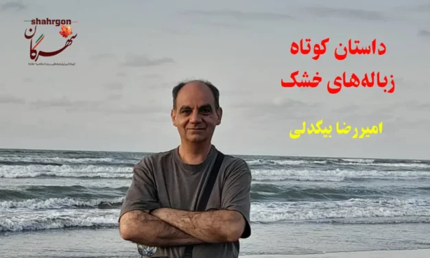 زباله‌های خشک