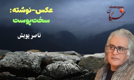 عکس‌-نوشته: سخت‌پوست