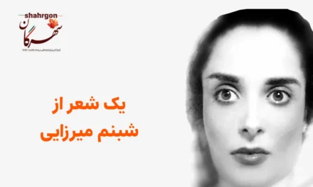 یک شعر از شبنم میرزایی‌وند