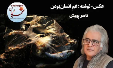 عکس‌-نوشته: غمِ انسان‌بودن