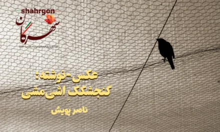 عکس‌-‌نوشته: گنجشککِ اشی‌مشی