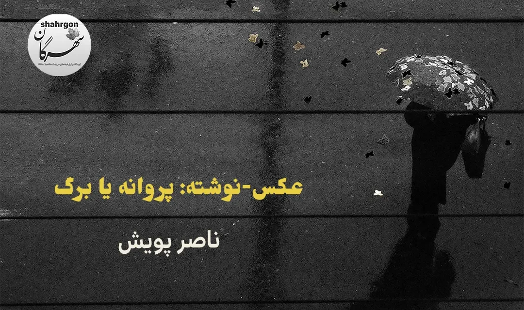 عکس‌-‌نوشته: پروانه یا برگ