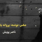 عکس‌-‌نوشته: پروانه یا برگ