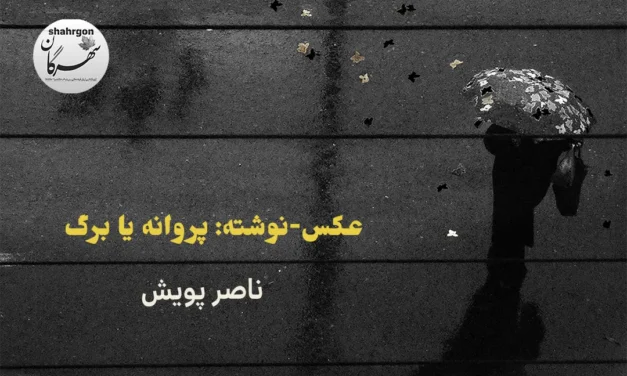 عکس‌-‌نوشته: پروانه یا برگ