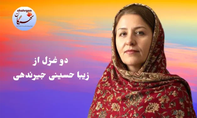 دو غزل از زیبا حسینی جیرندهی