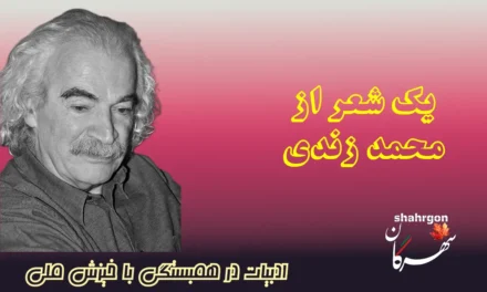 یک شعر از محمد زندی