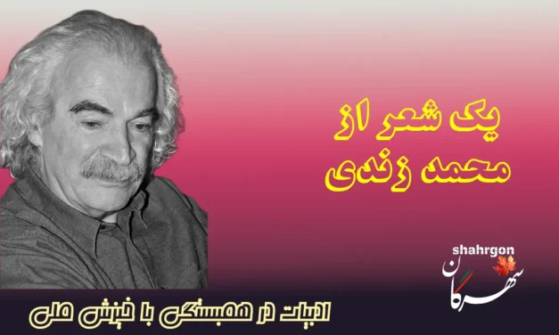 یک شعر از محمد زندی