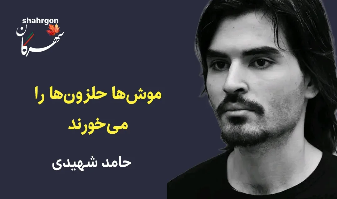موش‌ها حلزون‌ها را می‌خورند