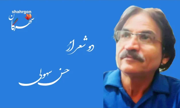 دو شعر از حسن سهولی