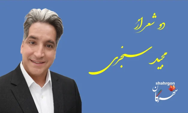 دو شعر از مجید سنجری