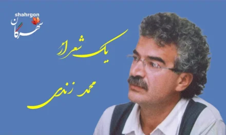 یک شعر از محمد زندی
