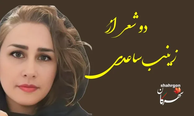 دو شعر از زینب ساعدی