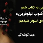 نگاهی به کتاب شعر «شهرآشوب نیلوفرین» نیلوفر شیدمهر