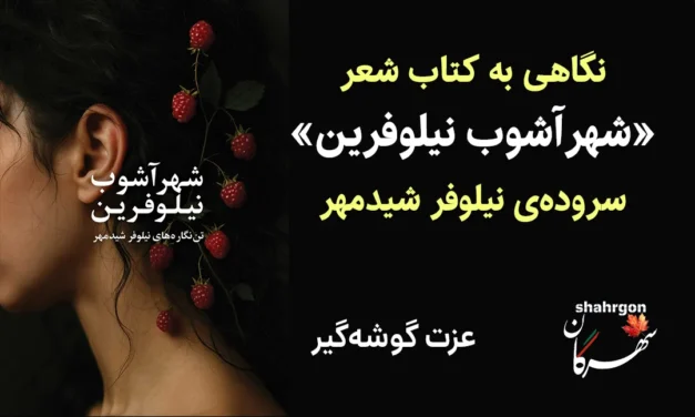 نگاهی به کتاب شعر «شهرآشوب نیلوفرین» نیلوفر شیدمهر