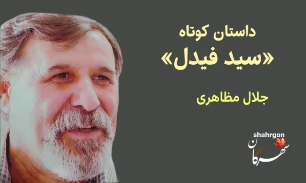 داستان کوتاه «سید فیدل»