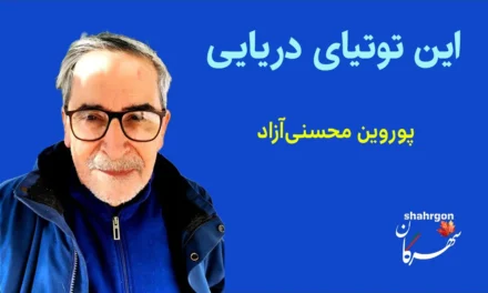 این توتیای دریایی