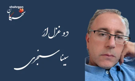 دو غزل از سینا سنجری