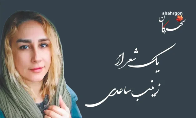 یک شعر از زینب ساعدی