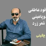 فست‌فود عاطفی و دوپامینی در شعر زرد